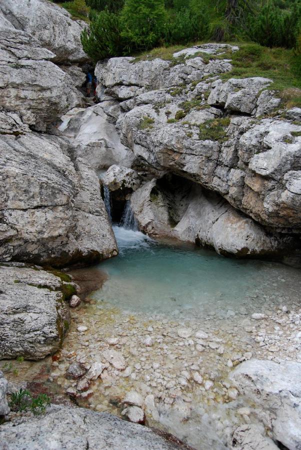 Appartamenti Chalet Orchidea Canazei Exterior foto